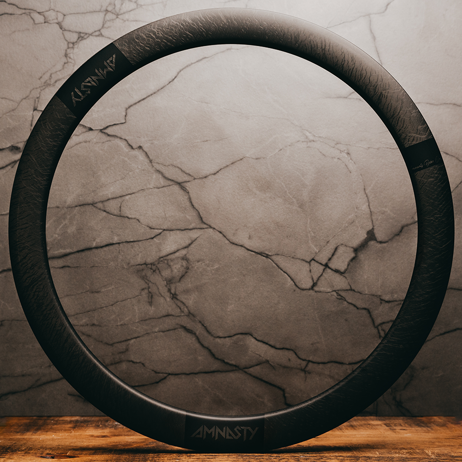 Amnasty Carbon Road Rim (Full Wheel Build)